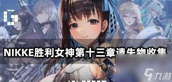 探索神秘的Nikke胜利女神地区