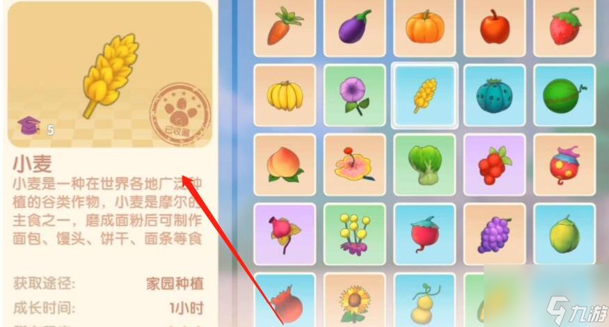 摩尔庄园浆果烧饼菜谱介绍-浆果烧饼食谱配方分享「必看」