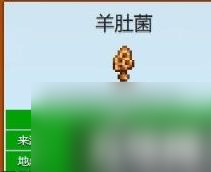 星露谷物语易错过献祭物品大全（易错过献祭物品大全）