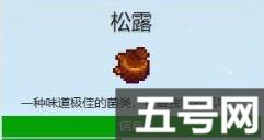 星露谷物語易錯過獻祭物品大全（易錯過獻祭物品大全）