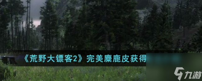 荒野大镖客2完美麋鹿皮如何获得-完美麋鹿皮获得方法详细介绍「已解决」