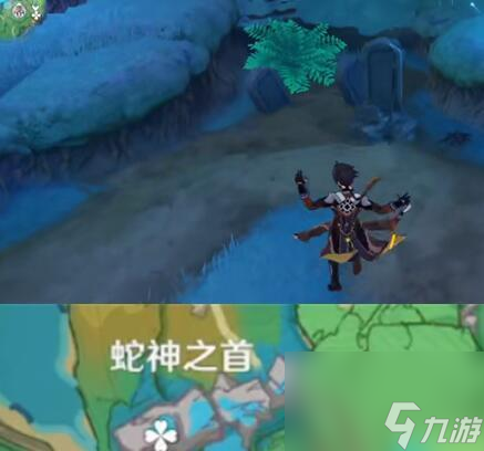 原神七国开放顺序公布！（你想知道以稻妻国为起点，接下来哪些国家将会开放吗？）