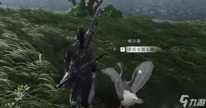 燕云十六声大鹅争锋任务怎么做