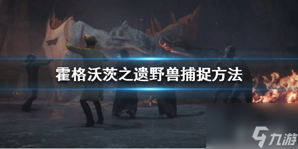霍格沃茨之遗野兽怎么抓