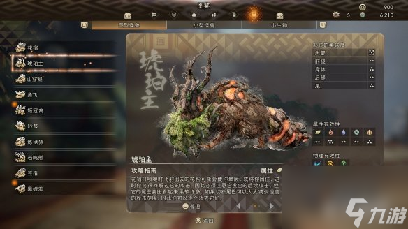 狂野之心琥珀主怎么打