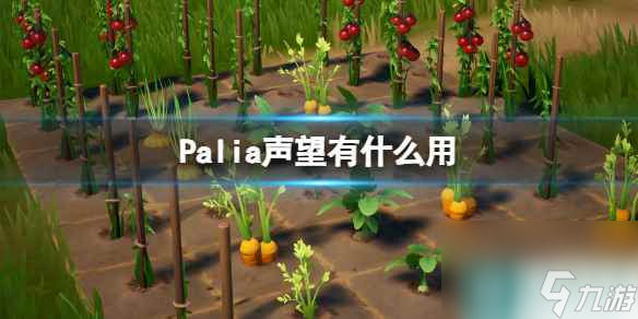 單機(jī)攻略《Palia》聲望有什么用？聲望作用介紹