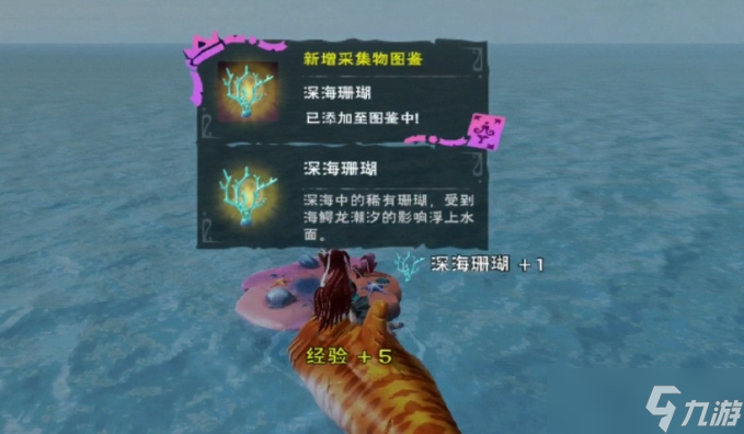 创造与魔法最新珊瑚位置在哪