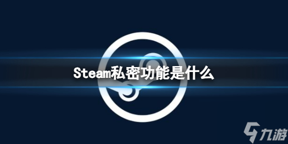 《Steam》私密功能介绍