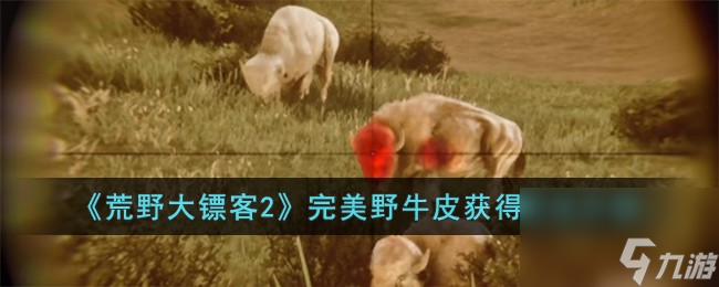 <a id='link_pop' class='keyword-tag' href='https://www.9game.cn/hydbk2/'>荒野大镖客2</a>完美野牛皮获得方法介绍