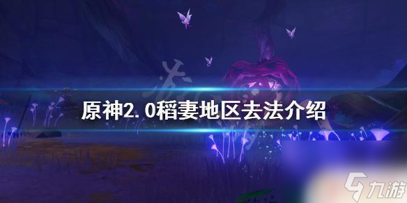 原神稻妻 《原神》2.0稻妻地区怎么去