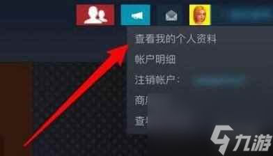 单机攻略《Steam》私密状态关闭方法介绍
