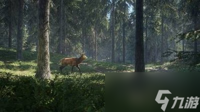 猎人：荒野的呼唤银铃峰的骡鹿位置一览