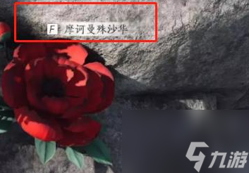 燕云十六声花中愿任务怎么做