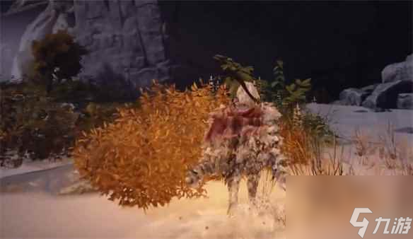 单机攻略《艾尔登法环》瀑布熊洞二层进入方法