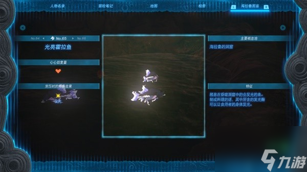 《塞尔达传说王国之泪》全图鉴拍照位置整理