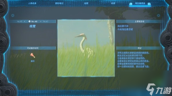 《塞尔达传说王国之泪》全图鉴拍照位置整理