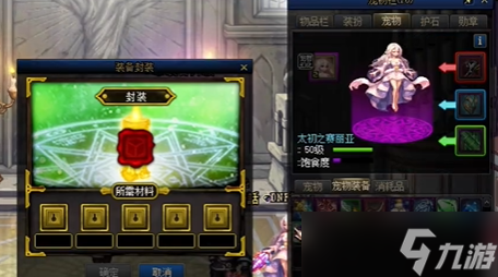 dnf宠物装备怎么封装