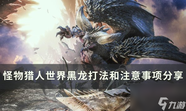 《<a linkid=200295><a id='link_pop' class='keyword-tag' href='https://www.9game.cn/gwlrsj/'>怪物猎人世界</a></a>》黑龙怎么打 黑龙打法和注意事项分享
