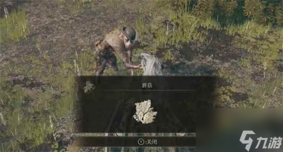 单机攻略《艾尔登法环》树人位置介绍