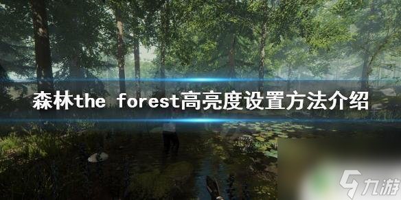 steam森林太暗了怎么办 《森林》游戏亮度设置方法