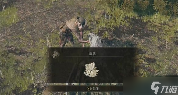 《艾尔登法环》树人位置介绍