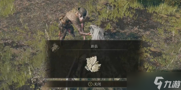 《艾尔登法环》树人具体位置在哪