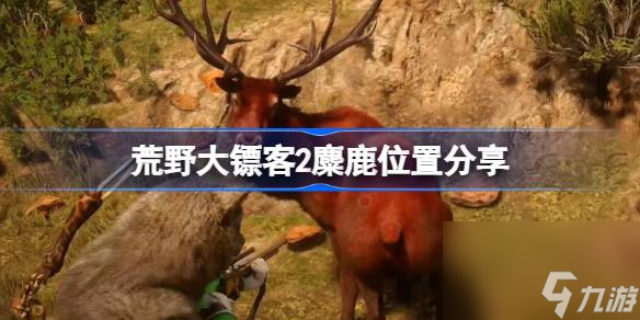 <a id='link_pop' class='keyword-tag' href='https://www.9game.cn/hydbk2/'>荒野大镖客2</a>麋鹿哪里多,荒野大镖客2麋鹿位置分享