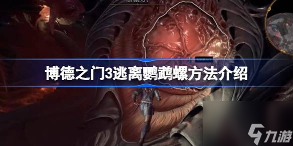 博德之门3逃离鹦鹉螺方法介绍