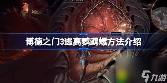 博德之门3怎么才能逃离鹦鹉螺-博德之门3逃离鹦鹉螺方法介绍