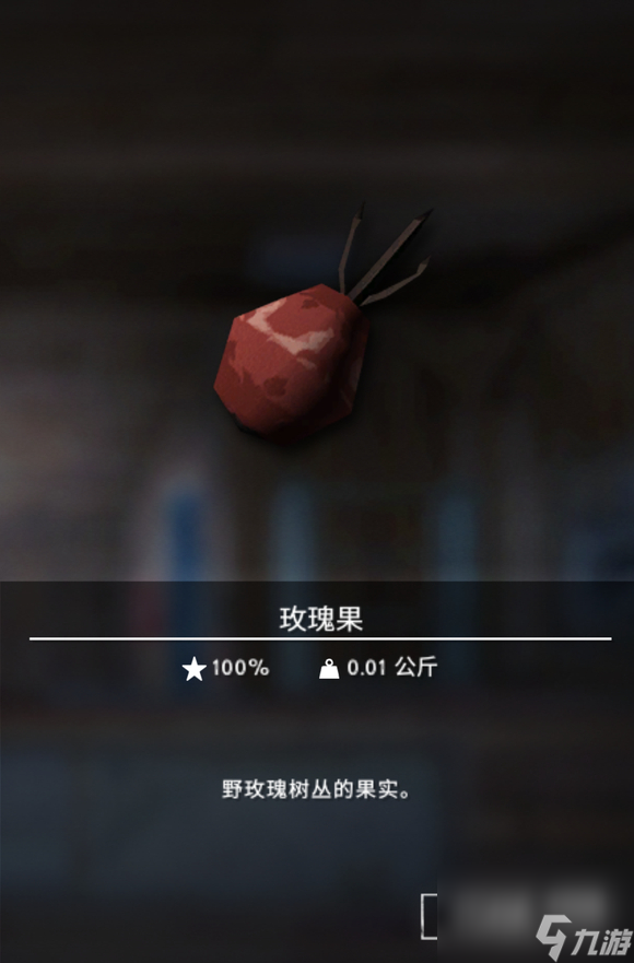 漫漫長夜玫瑰果用途一覽