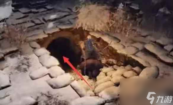 《艾尔登法环》加6石头获取方法