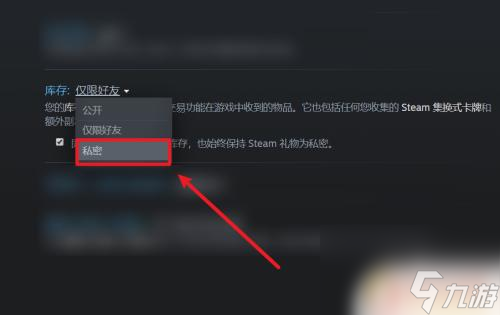 steam非公开 怎样设置Steam中不公开库存游戏