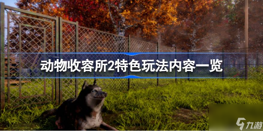 动物收容所2好玩吗,动物收容所2特色玩法内容一览