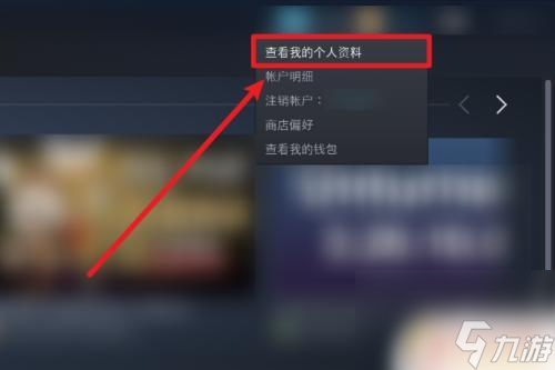 steam非公开 怎样设置Steam中不公开库存游戏