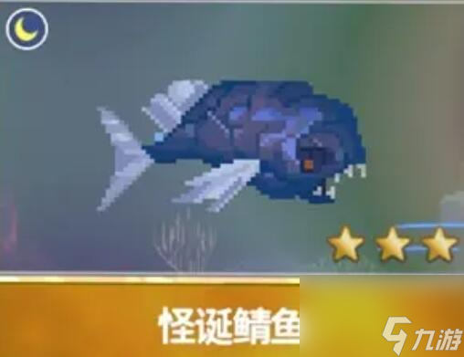 潛水員戴夫漁帆暗涌新增魚(yú)類(lèi)