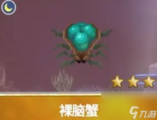潜水员戴夫渔帆暗涌新增鱼类