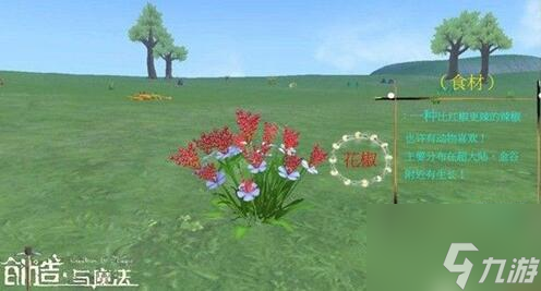<a id='link_pop' class='keyword-tag' href='https://www.9game.cn/czymf/'>创造与魔法</a>花椒在哪 创造与魔法花椒位置