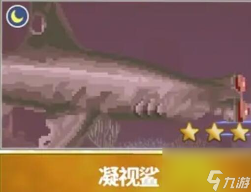 潜水员戴夫渔帆暗涌新增鱼类