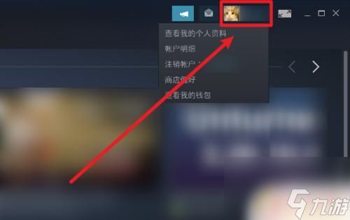 <a id='link_pop' class='keyword-tag' href='https://www.9game.cn/steam2/'>steam</a>非公开 怎样设置Steam中不公开库存游戏