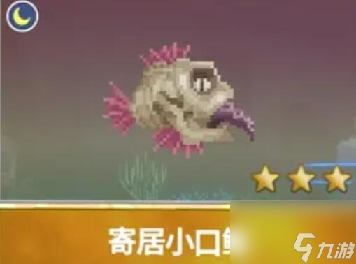 潜水员戴夫渔帆暗涌新增鱼类