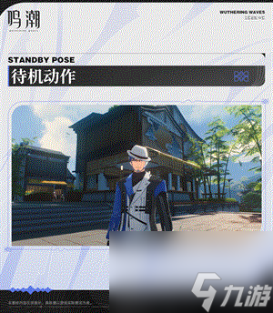 鸣潮渊武角色图鉴一览