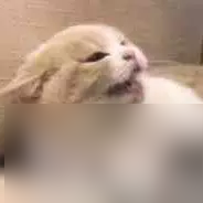 鸣潮：首测体验：略显不足，但值得期待