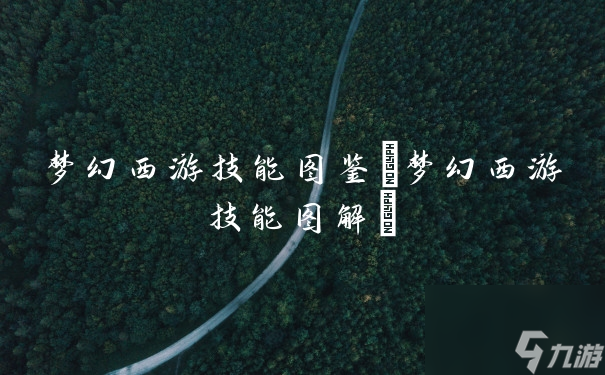 梦幻西游技能图鉴(梦幻西游技能图解)