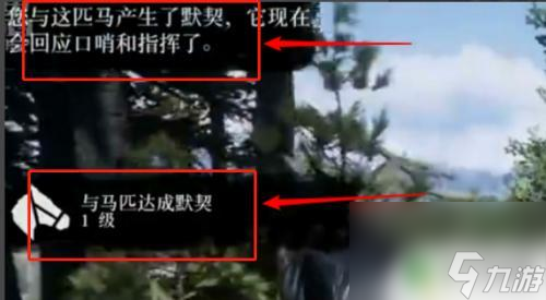 荒野大镖客2怎么捉好马 荒野大镖客2如何抓马