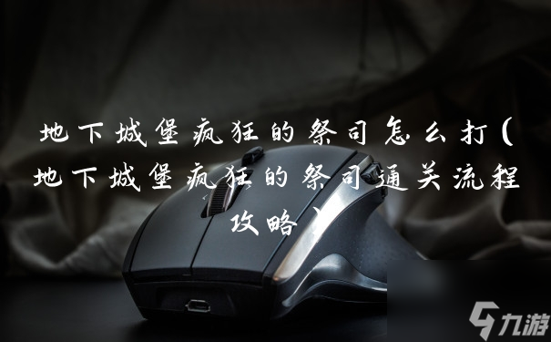 地下城堡疯狂的祭司怎么打(地下城堡疯狂的祭司通关流程攻略)