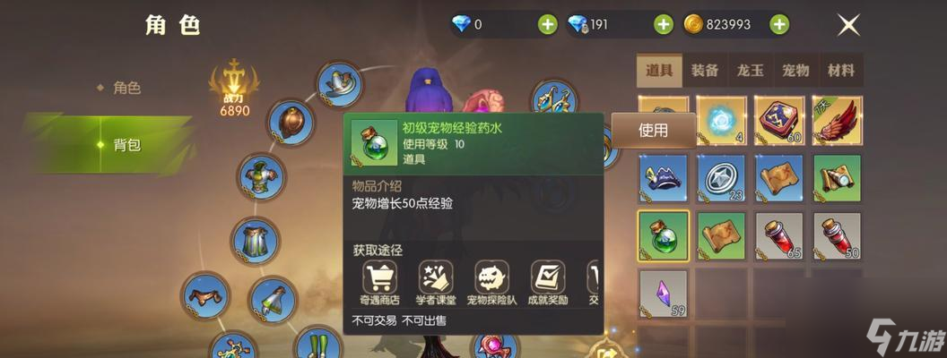 龙之谷2魔法师转职攻略（探究魔法师的转职路线，助你成为游戏高手）