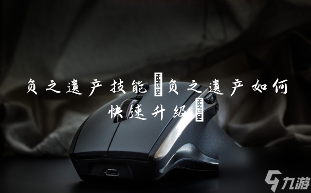 負(fù)之遺產(chǎn)技能(負(fù)之遺產(chǎn)如何快速升級)