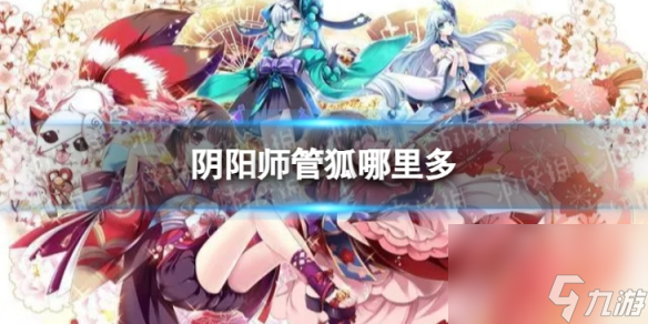 阴阳师管狐哪里多