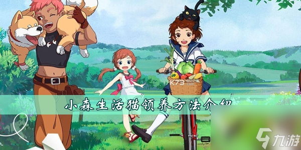 小森生活猫领养方法介绍
