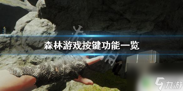 steam森林按鍵大全 《森林》游戲怎么操作